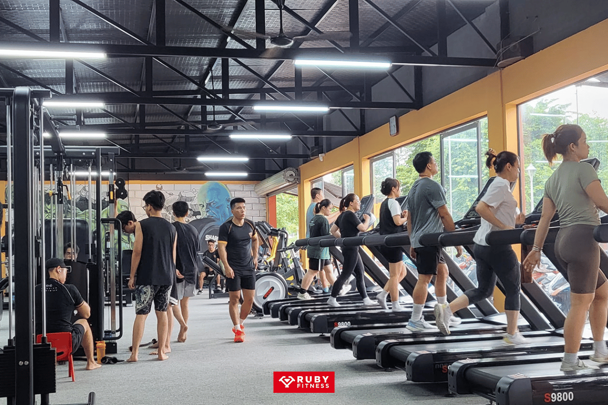 Hình ảnh về Shark Gym tại Bắc Ninh