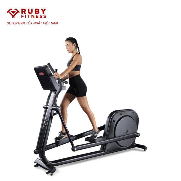 Máy trượt tuyết Panatta/Elliptical Fenix/Led Plus/1FX104A - Hình ảnh 2