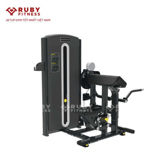 Bicep Curl/Máy tập tay trước MBH/RM5-D06