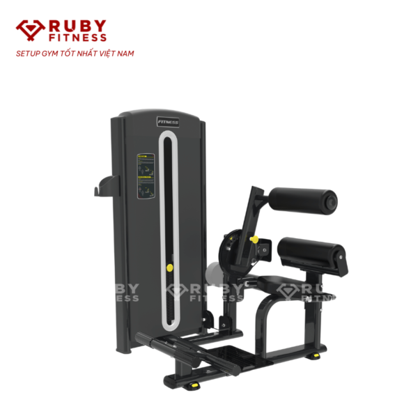 22. Lower Back Máy tập lưng MBHRM5-D09