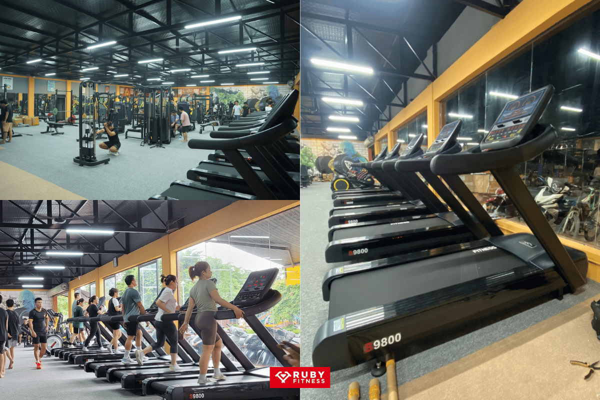 Hình ảnh trước và sau khi hoàn thiện của dự án Shark Gym tại Bắc Ninh