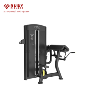 5. Bicep CurlMáy tập tayRM5-006