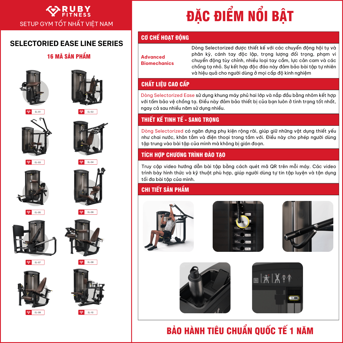 Đặc điểm sản phẩm dòng Sectorized của Intenza