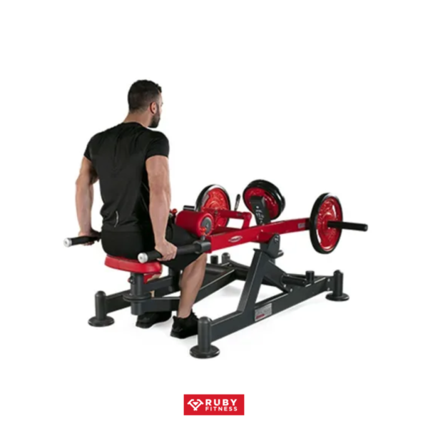 Dips press dual system/ 1HP540 - Hình ảnh 4