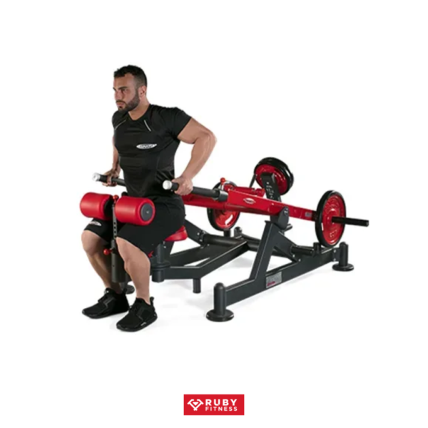 Dips press dual system/ 1HP540 - Hình ảnh 3