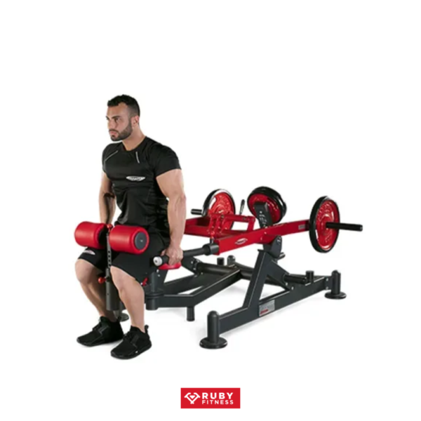 Dips press dual system/ 1HP540 - Hình ảnh 2