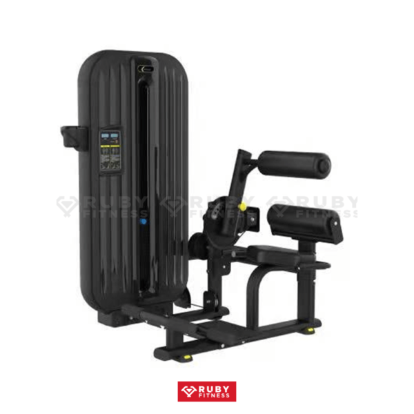 Low back with abdominal/ Máy tập lưng dưới/ bụng/ RT8-0910