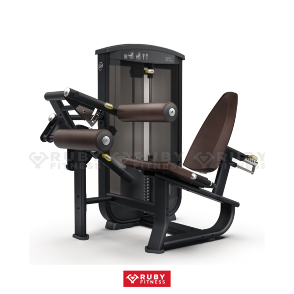 Máy Tập Chân Intenza Seated Leg Curl EL-08