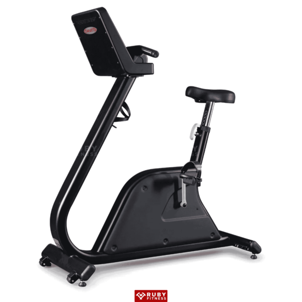 Xe Đạp Ngồi Panatta/Bike Fenix Led Plus/1FX101A