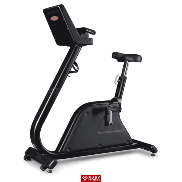 Xe Đạp Ngồi Panatta/Bike Fenix Touch/1FXT001